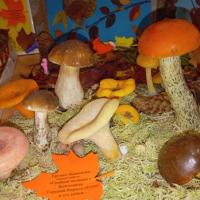 PHOTO-2025-10-28-10-20-58