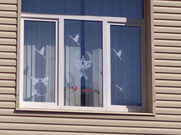 IMG-20230506-WA0049