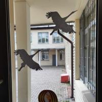 IMG-20230506-WA0070