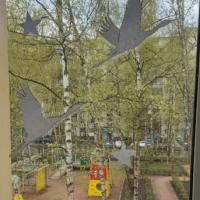 IMG-20230506-WA0087